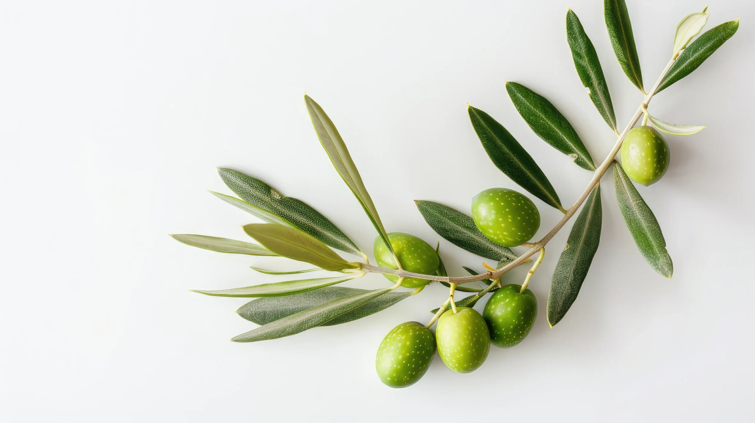 Manos artesanas trabajando aceitunas