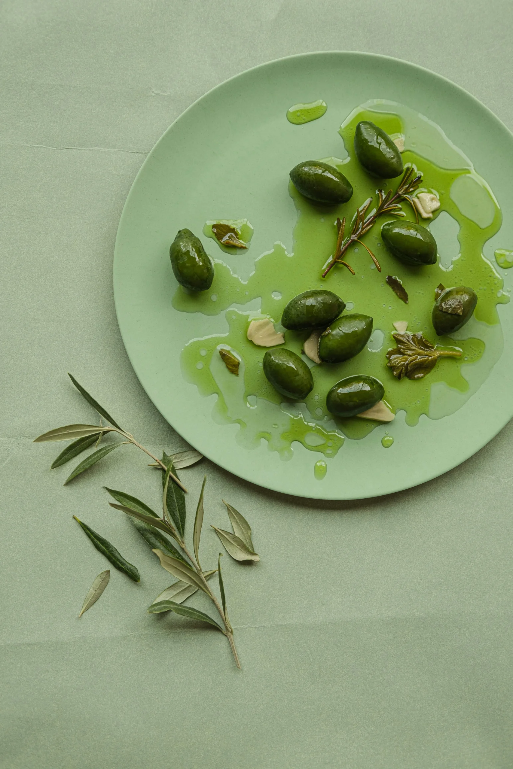 Paisaje mediterráneo de olivos en Valencia